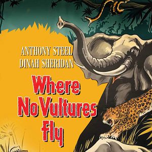 Bilder Schwarzes Elfenbein