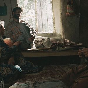 Bilder Zeit der Brombeeren