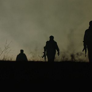 Bilder Zeit der Brombeeren