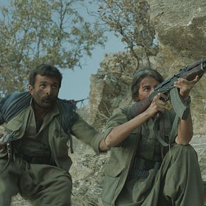 Bilder Zeit der Brombeeren