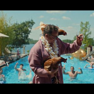 Bilder King of Stonks