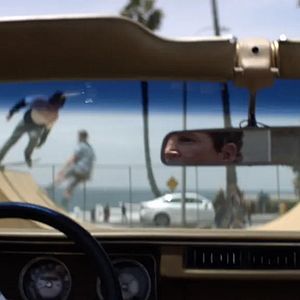 Bilder Animal Kingdom