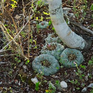 Bilder Verändere dein Bewusstsein