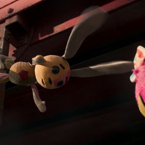 Bilder Ollies Odyssee