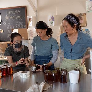 Bilder Fivel Stewart