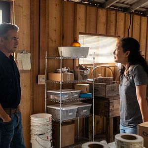 Bilder Dermot Mulroney