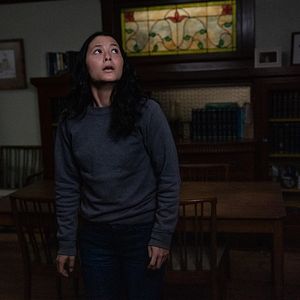 Bilder Fivel Stewart