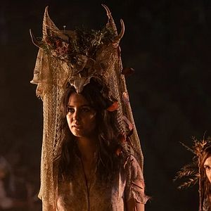 Bilder Yellowjackets