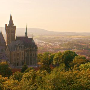 Bilder Die Schule der magischen Tiere 2