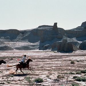 Bilder Tiger & Dragon