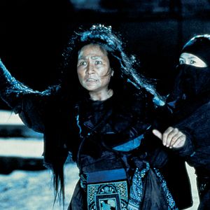 Bilder Tiger & Dragon