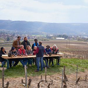 Bilder Weinprobe für Anfänger