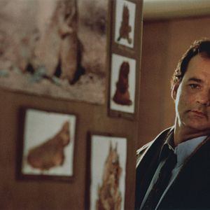 Bilder Bill Murray
