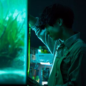 Bilder Under Your Bed