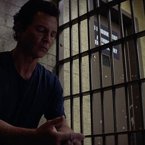 Bilder Animal Kingdom