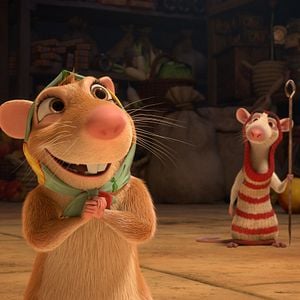 Bilder Maurice, der Kater