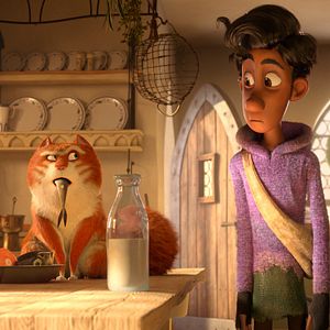 Bilder Maurice, der Kater