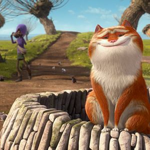 Bilder Maurice, der Kater