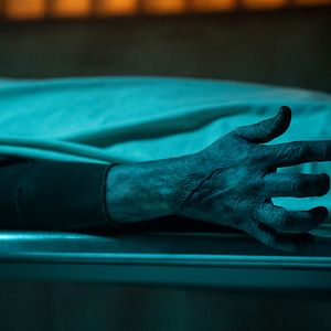 Bilder Guillermo del Toro's Cabinet of Curiosities