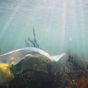 Bilder The North Drift - Plastik in Strömen