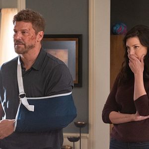 Bilder David Boreanaz