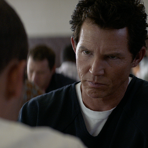 Bilder Animal Kingdom