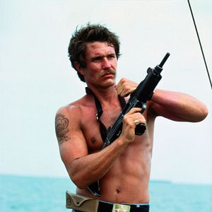 Bilder Die Hunde des Krieges