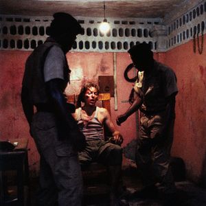 Bilder Die Hunde des Krieges