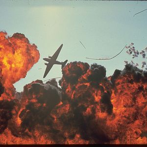 Bilder Die Hunde des Krieges