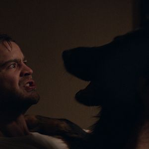 Bilder Achille Reggiani