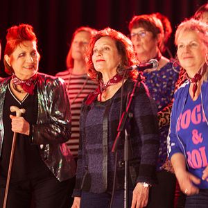 Bilder Silver Rockers