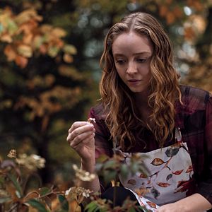 Bilder Devil In Ohio