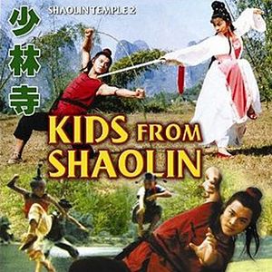 Bilder Kids from Shaolin