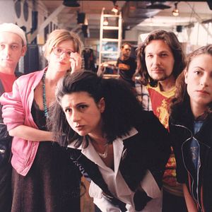 Bilder ... und jeder sucht sein Kätzchen