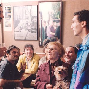 Bilder ... und jeder sucht sein Kätzchen