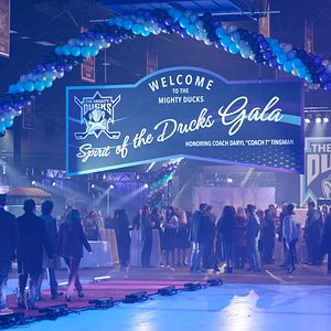 Bilder Mighty Ducks: Game Changer