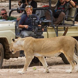 Bilder Epic Adventures with Bertie Gregory