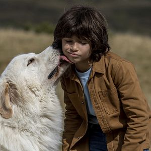 Bilder Robinson Mensah-Rouanet