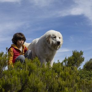 Bilder Robinson Mensah-Rouanet