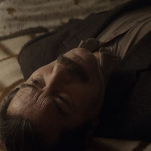 Bilder Der anatolische Leopard