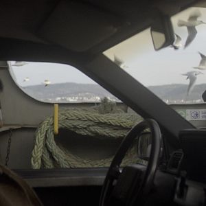 Bilder Der anatolische Leopard