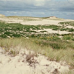 Bilder Geographies Of Solitude