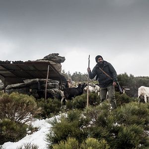 Bilder Jesús Carroza