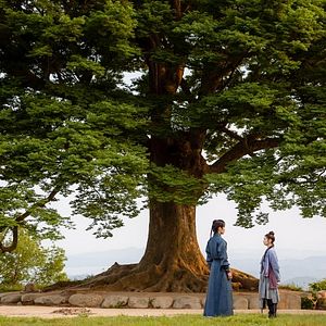 Bilder Alchemy Of Souls