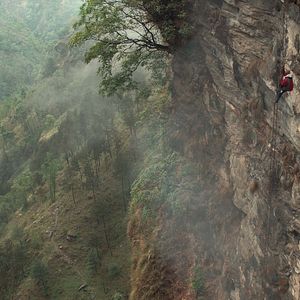 Bilder Die Legende vom Tigernest