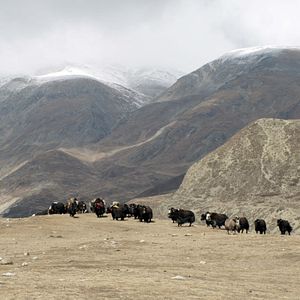 Bilder Die Legende vom Tigernest