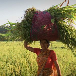 Bilder Vandana Shiva – Ein Leben für die Erde