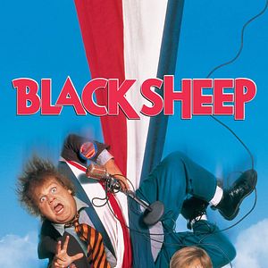 Bilder Black Sheep - Schwarzes Schaf mit weißer Weste