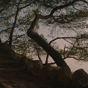 Bilder Simone, le voyage du siècle