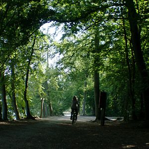 Bilder Das Mädchen in der Kiste - Wer tötete Ursula Herrmann?